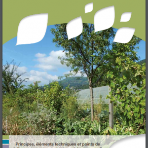 Associer légumes et arbres fruitiers en agroforesterie : Principes, éléments techniques et points de vigilance pour concevoir et conduire sa parcelle