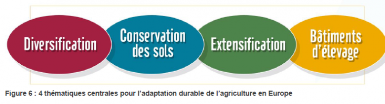 image Quatres_pistes_adaptation_agriculture_UE_source_Agradapt.png (0.1MB)