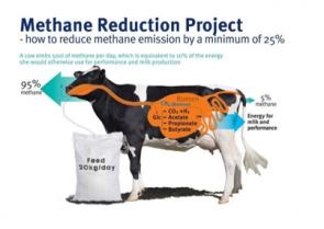 image Methane.png (0.1MB)