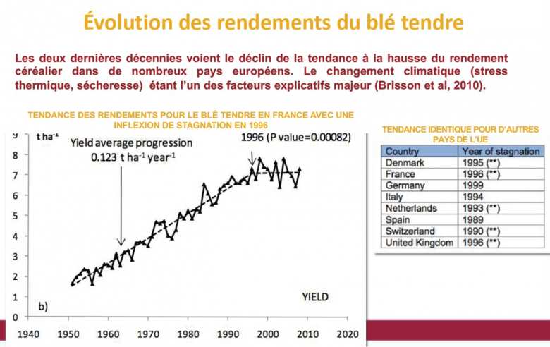 image Evolution_des_rendements_du_bl_tendre.png (0.8MB)