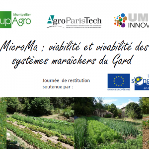 Projet MicroMa : viabilité et vivabilité des petits systèmes maraîchers du Gard