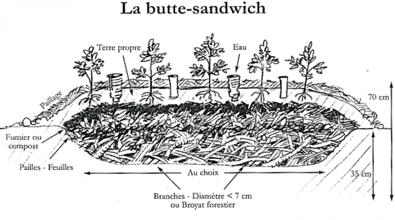 butteS
Lien vers: http://www.coeurdechaman.com/butte-sandwich/