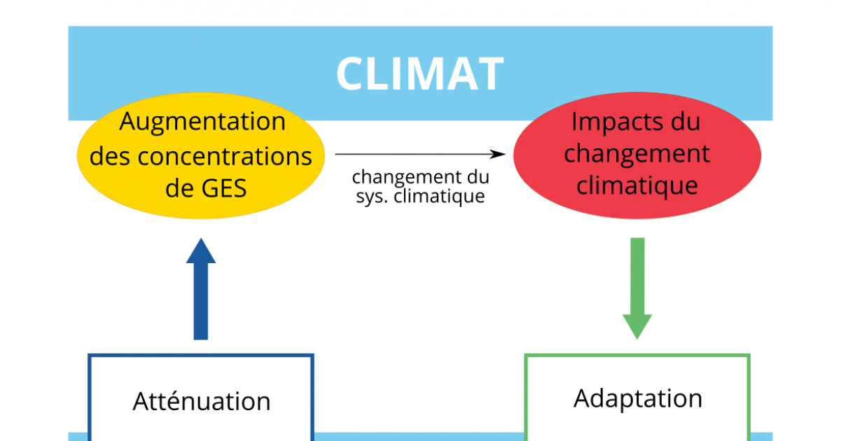 Renforcer les capacités d'adaptation et d'atténuation au