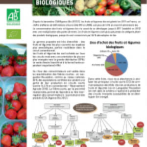 Les modes de commercialisation des fruits et légumes biologiques